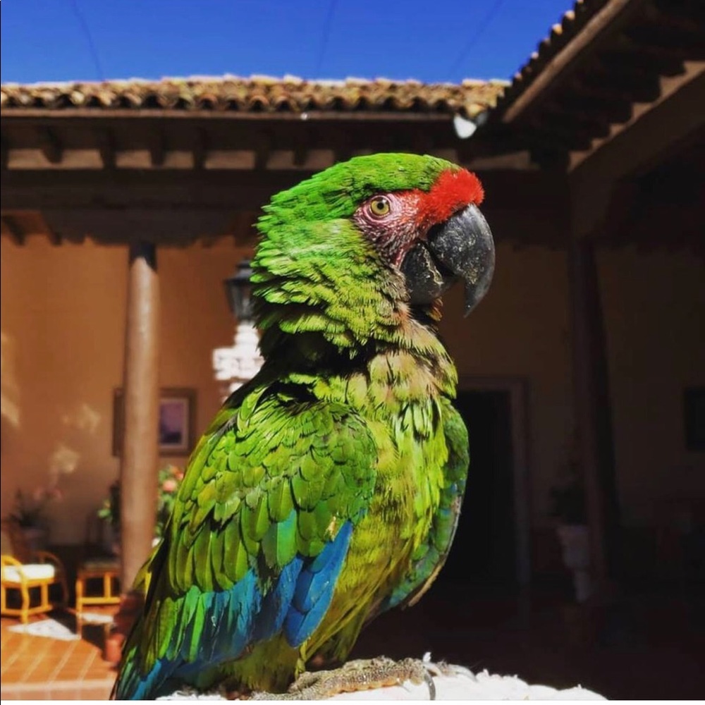 Meet your Posher, Gerardo